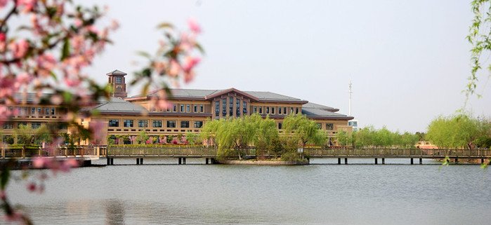 书海遨游